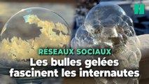 Les réseaux sociaux en adoration devant les 