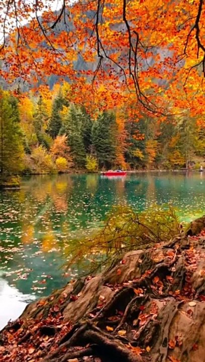 الطبيعه الساحره