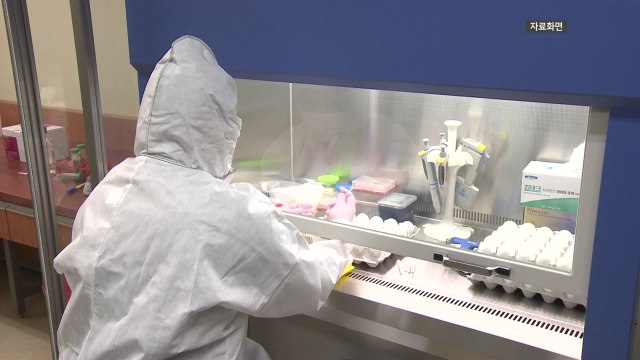 광주 사향 오리 농장에서 고병원성 AI 발생...'9년만' / YTN