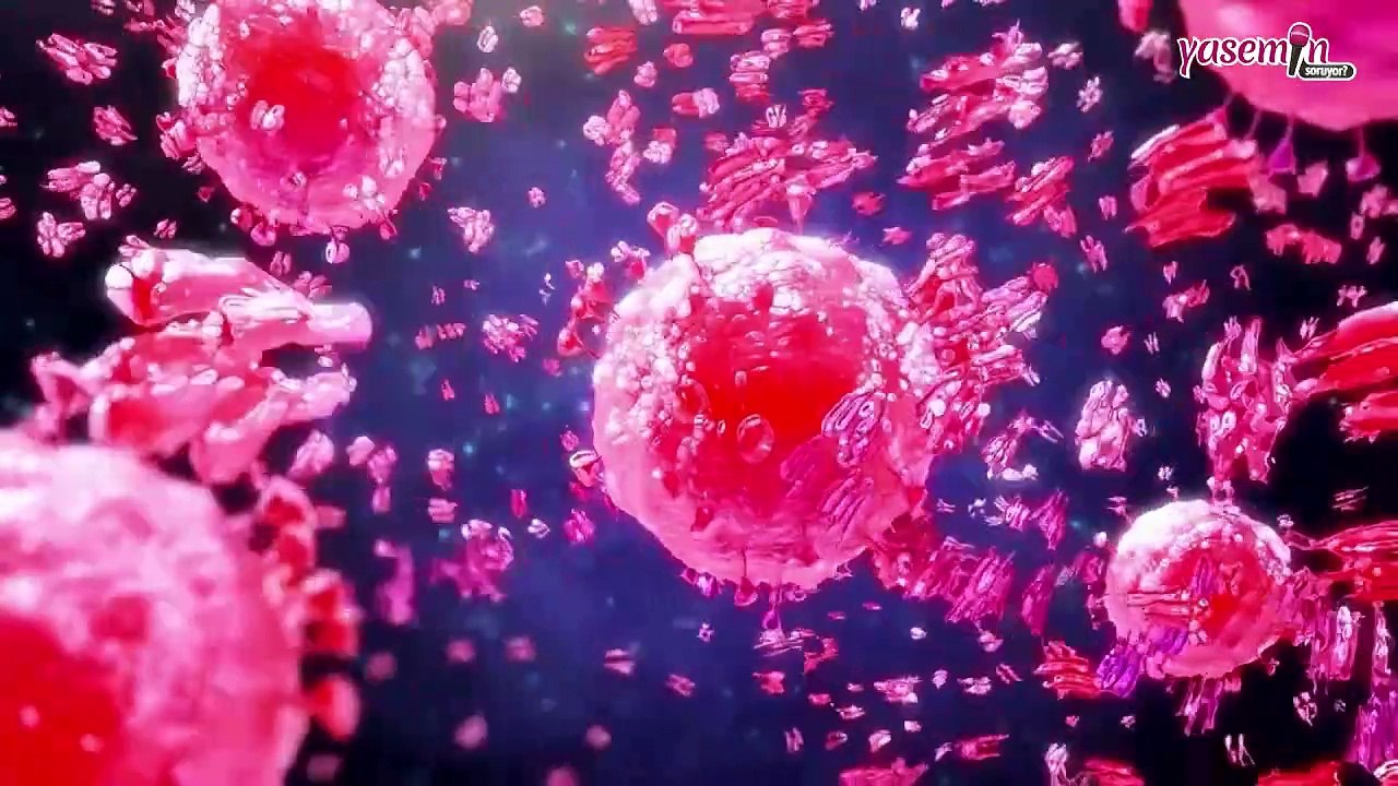"X Hastalığı" nedir? DSÖ'nün listesindeki X hastalığı hangi belirtileri gösterir?