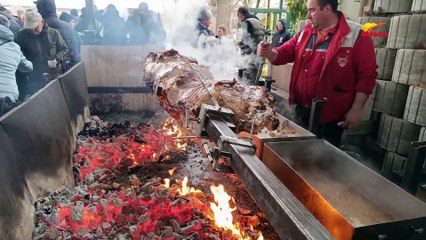 Plivanje za Časni krst Loznica 2024