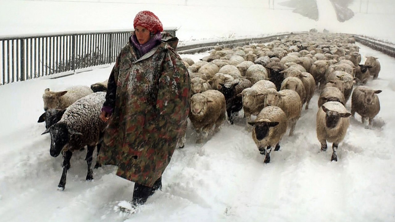 Hiver nomade