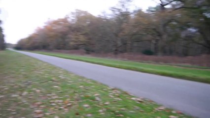 FOOTPATHS IN CRISIS Sandringham Part 3 Episode 2