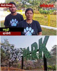 कुत्र्यांचा बड्डे करा आता बिंदास डॉगसाठी अनोख पार्क