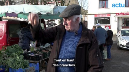 Vidéos de Actu.fr - Dailymotion
