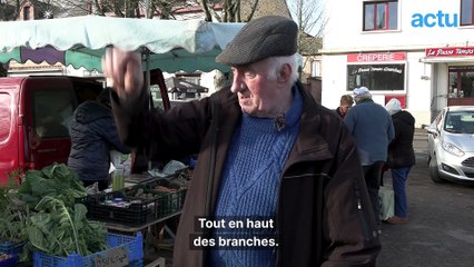 Les anciens ne manquent pas de bonnes astuces pour déchiffrer la météo !