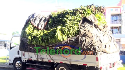 Incautan camiones llenos de plátanos en SFM por litis judicial