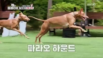 Ao Haru Ride Season 2 EP. 1 [ENG SUB] - Full Episodes