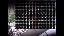 【再投稿】アパートの庭で一本糞するジジイとディベート一本勝負【加工済み】