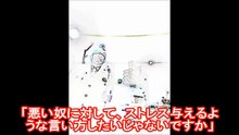 【後半】高級外車の雑な路駐にイキナリど～ん！したところ建築系ドキュン親子ブチ切れ２【貧乏人VS金持ち】