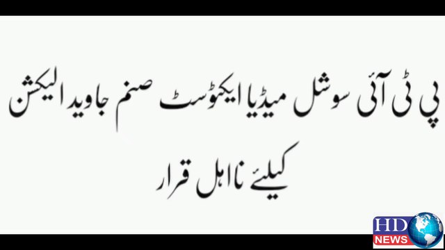 PTI activist Sanam Javed to contest general elections | sanam javed