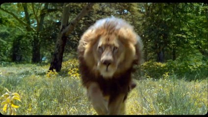 Il Punto di Rugiada - Trailer