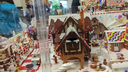 Skating and More Winter 2024