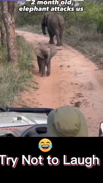 TRY NOT TO LAUGH Best Funny Videos Compilation Memes PART 1 #funny #viral #trending #shorts