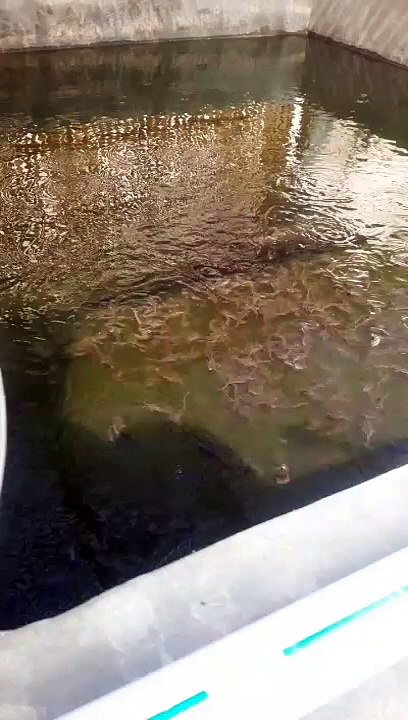 Waktunya makan siang, jangan sampai telat