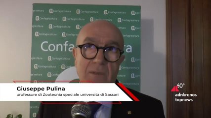 Consumi, professor Pulina: "Impossibile sostituire alimenti origine animale"