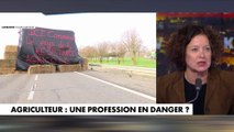 Élisabeth Lévy : «Il y a une bataille anthropologique contre l'agriculture. Il y a une bataille de civilisation, il y a des gens et notamment les écolos qui considèrent que la mère nature c'est merveilleux quand il n'y a pas d'humains»