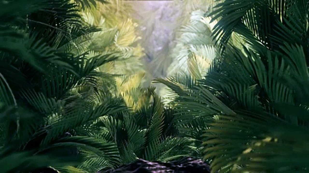 Exploring the jungle among plants and palm trees