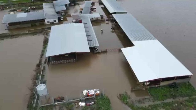 Varias granjas anegadas por el desbordamiento del arroyo Medrancho cerca de Talavera de la Reina