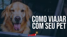 SAIBA COMO VIAJAR DE CARRO COM SEU PET