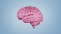 Überraschend: Studie zeigt, was beim Sterben im Gehirn passiert