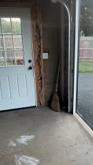 Great Dane Doesn't Understand Doors