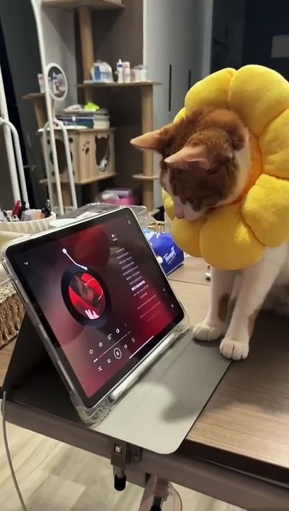 Musical critic