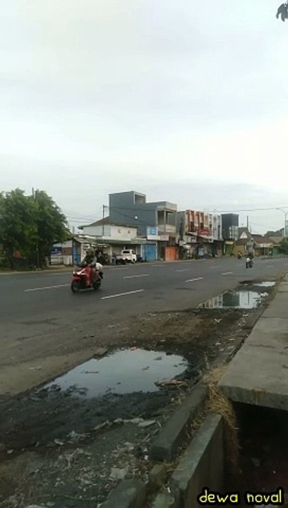 truk box jadi bis hijau tayo