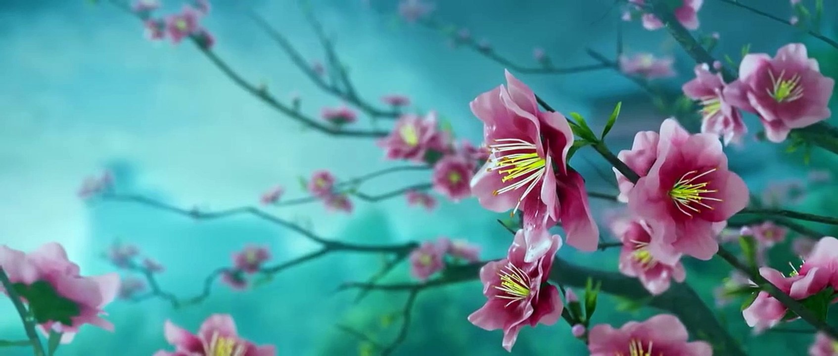 video_2