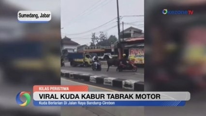 Video herunterladen: OKEZONE UPDATES: Viral Kuda Kabur Tabrak Motor hingga Madrid ke Final Piala Super Spanyol