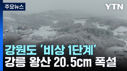강원 강릉 왕산 20.5cm 큰 눈...강원도 '비상 1단계' / YTN