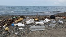Karadeniz'de kirlilik alarmı! Ürküten artış