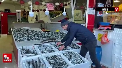 Hamsi tezgahtaki krallığını istavrite kaptırdı