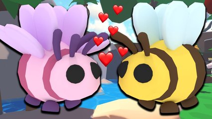  ARI OLUP SEVGİ İLE BAL TOPLADIK  | BEE SIM HAN KANAL ROBLOX TÜRKÇE