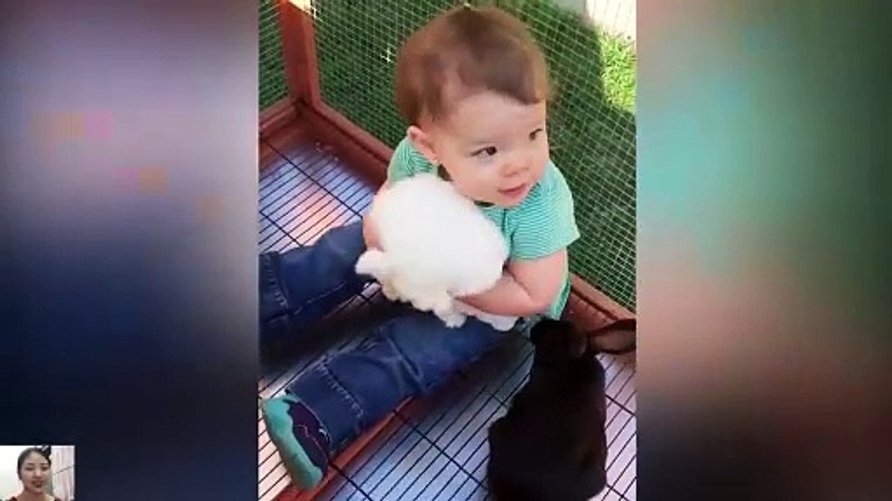 Nice Greeting! Funny Baby Say 'Hi' with Animals But...__ Just Laugh