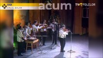 Ion Albesteanu - Calul balan (Tezaur folcloric - arhiva TVR - 1996)