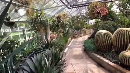 ALLENS GARDEN TORONTO ONTARIO TOUR