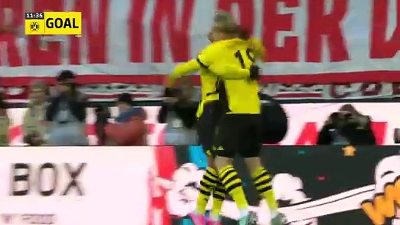 bvbkol