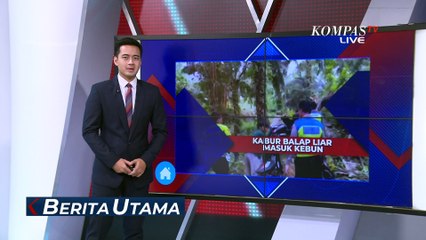 Panik Razia, Remaja Pebalap Liar Terjebak di Kebun Sawit Warga