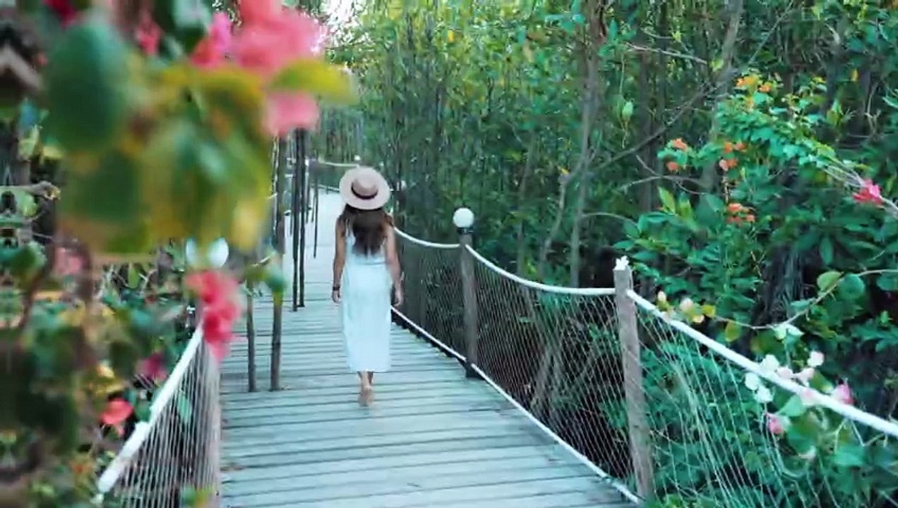 Fogsick - Dreamer (Official Musikvideo)