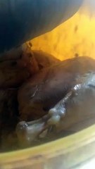 Matangkan dulu lalu simpan di freezer, begini cara kita mengawetkan pakan alternatif