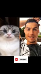 Cristiano Ronaldo Reacts a Cat #shorts