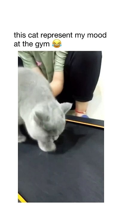 Ultimate Fun : Top Funny Clips of the Month!