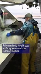 Dolphins boosted with French fishing ban