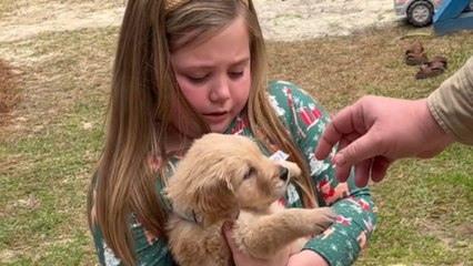Little girl gets an adorable puppy as her Christmas Present *Heartfelt*