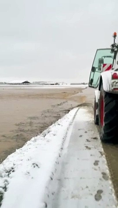 Arroyo El Merdero, entre Muñomer del Peco y Narros