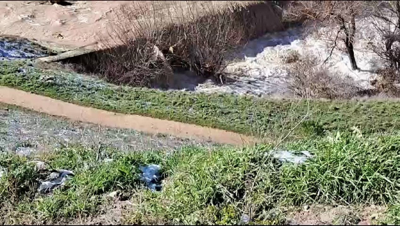 Consecuencias del temporal