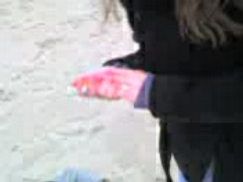 Haha