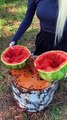 Watermelon BBQ in the forest! Juicy steak  #camping #survival #bushcraft #outdoors