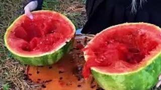 Watermelon BBQ in the forest! Juicy steak  #camping #survival #bushcraft #outdoors